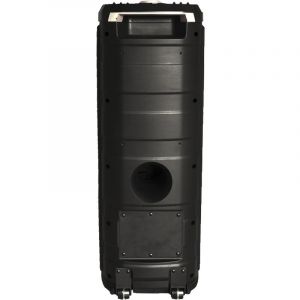 BOCINA BLUETOOTH 10" 100W LUCES Y CONTROL REMOTO