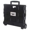 CARRO DE MERCADO PLEGABLE