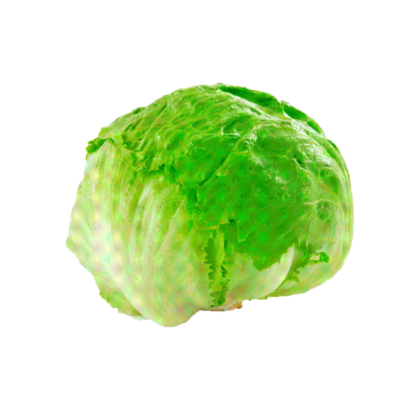 Lechuga.png