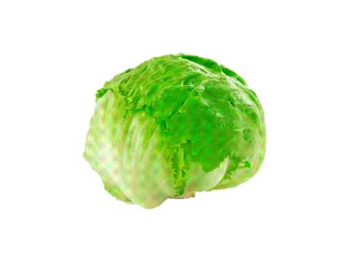 Lechuga.png